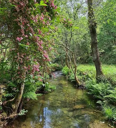 Moleiro Da Costa Ma 4*