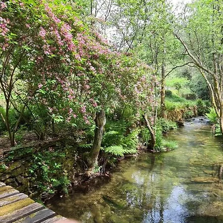 Moleiro Da Costa Ma Πανσιόν Sever do Vouga