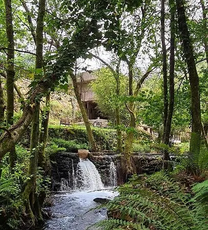 Moleiro Da Costa Ma سيفر دو فوغا