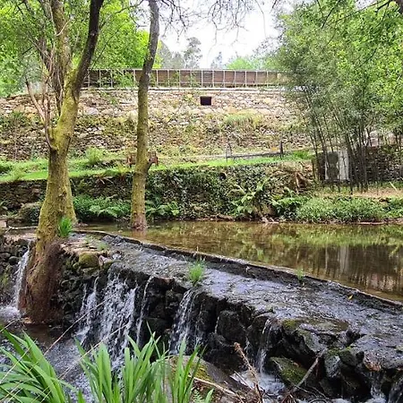 Moleiro Da Costa Ma 4*