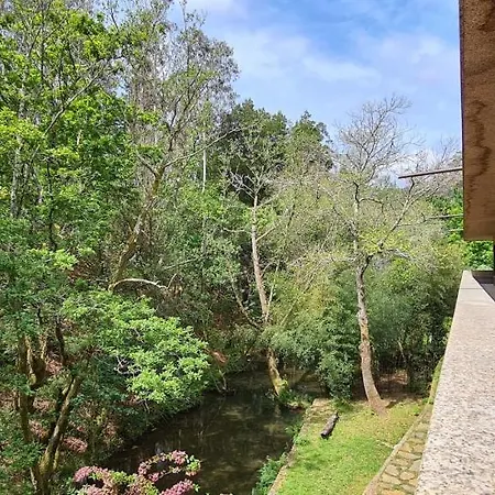 Moleiro Da Costa Ma بيت ضيافة سيفر دو فوغا