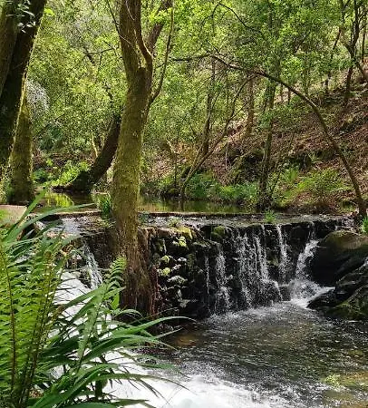 Moleiro Da Costa Má - Wellness&spa Gasthof 3*