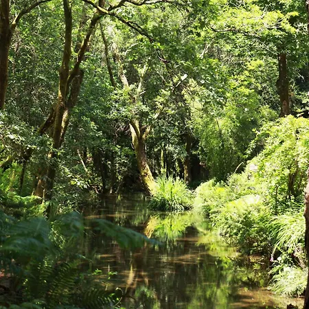 Moleiro Da Costa Ma 4* Sever do Vouga