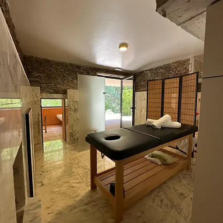 Moleiro Da Costa Má - Wellness&spa 3* Sever do Vouga