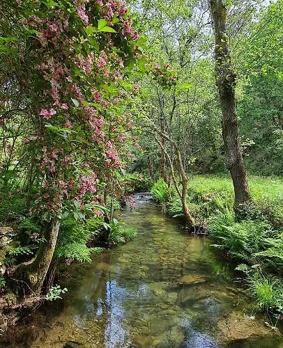 Moleiro Da Costa Má 4*