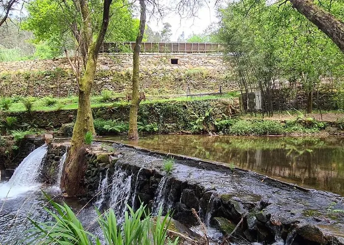 Moleiro Da Costa Má 4*