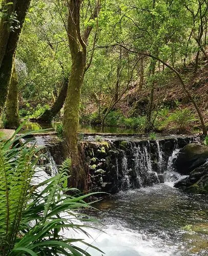 Moleiro Da Costa Ma Gæstehus 4*