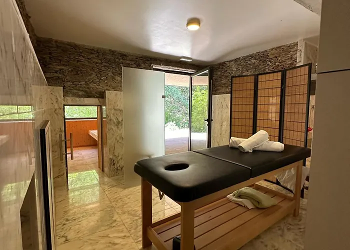 Moleiro Da Costa Má 4* Sever do Vouga